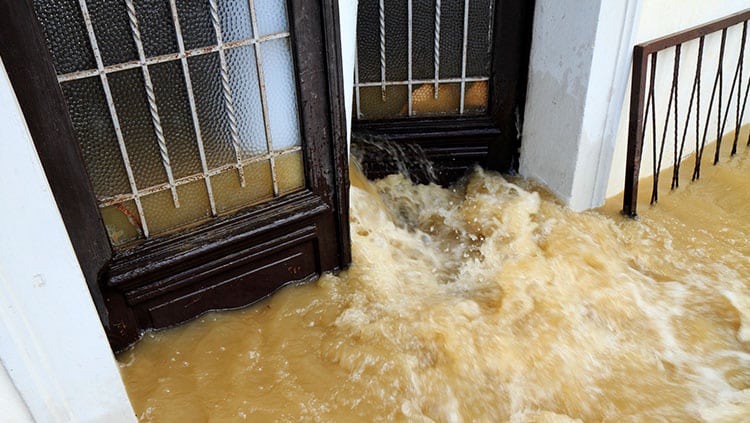 Nach Regen oder Sturm: Was tun bei Wasser im Keller?